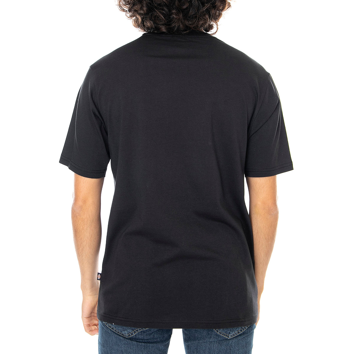Mapleton T-Shirt - Black - Maglietta Girocollo Uomo Nera DK0A4XDBBLK1 . DICKIES 