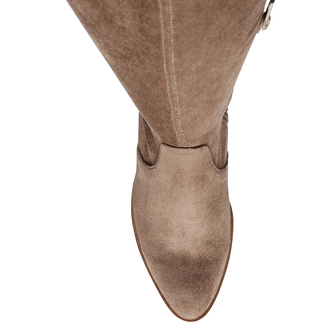 Sadie - Stivali Donna Marroni / Taupe SMSSADIE-TAU . STEVE MADDEN 