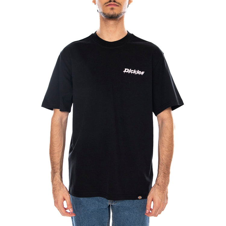 Statesville Tee SS Black - Maglietta Girocollo Uomo Nera DK0A87QPBLK1 . DICKIES 