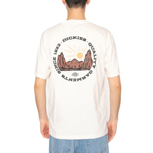 Dickies Outdoor SS Tee Egret - Maglietta Girocollo Uomo Beige DK0A4Z8PC481 . DICKIES 