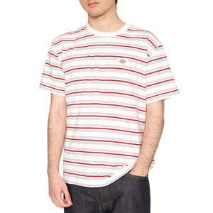Lewistown Stripe SS Tee Egret - Maglietta Girocollo Uomo Multicolore DK0A4Z8SC481 . DICKIES 