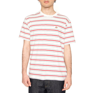Lewistown Stripe SS Tee Egret - Maglietta Girocollo Uomo Multicolore DK0A4Z8SC481 . DICKIES 