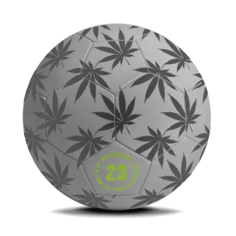 PLANTLIFE SOCCER BALL - Palla da Gioco Multicolore AC00643-REFLC . HUF 