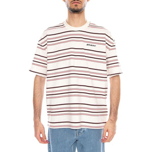 East Liberty Tee Stripe - Maglietta Girocollo Uomo Multicolore DK0A88GF C481 DICKIES 