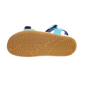  62105500-4812  NATIVE 